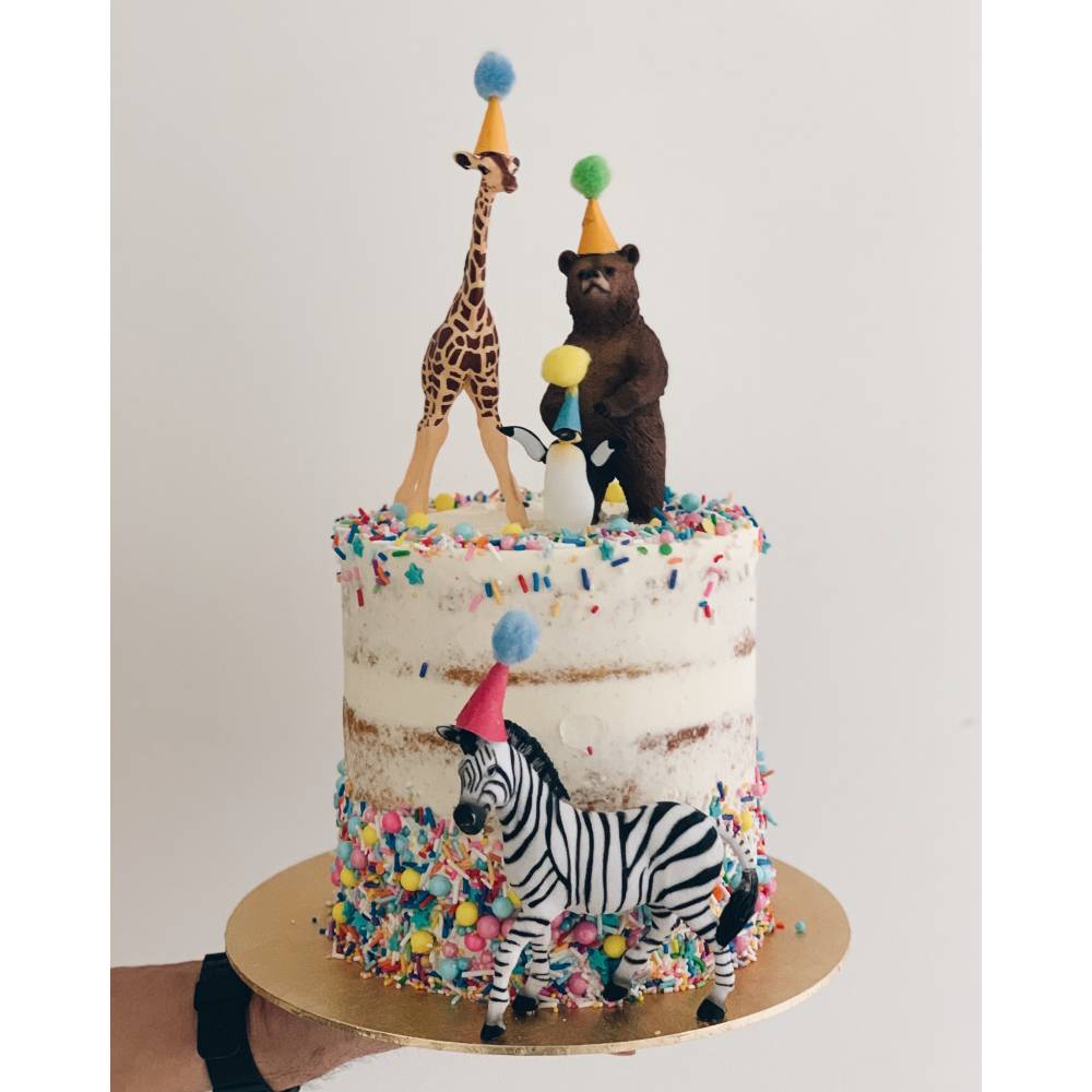 A4. Sprinkles Party Animal Cake