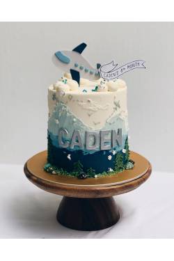 A Vintage Airplane Cake Topper - Cassie's Confections
