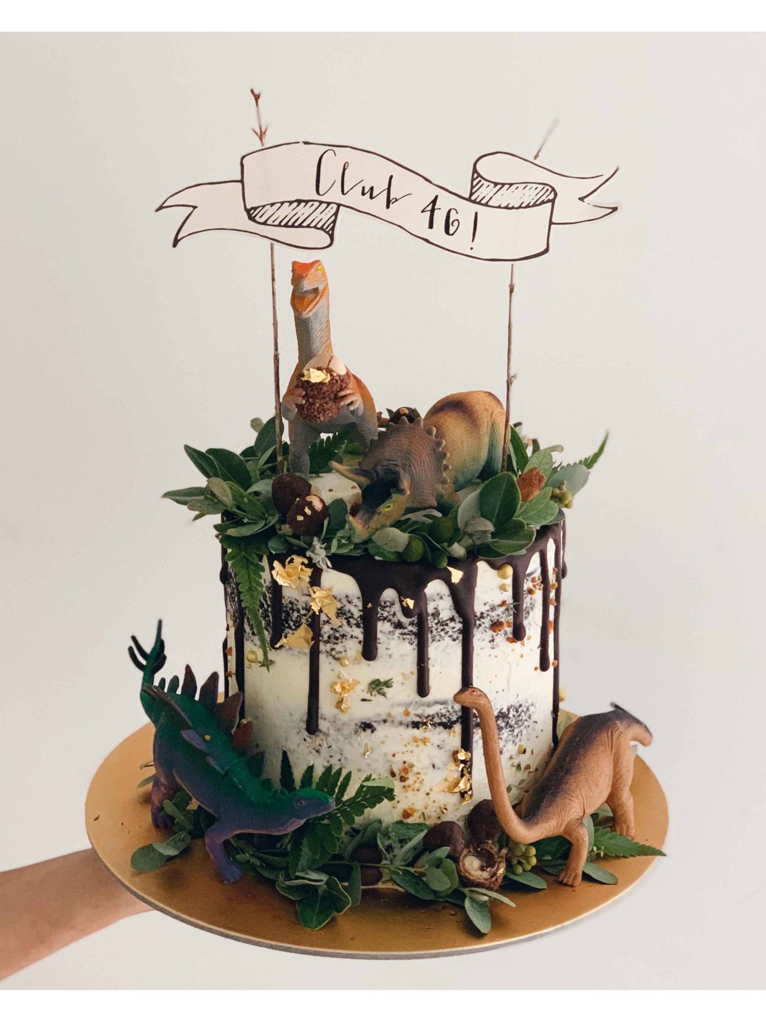 Rustic Dinosaur Cake Singapore | Custom Birthday Cake – Sarah's Loft