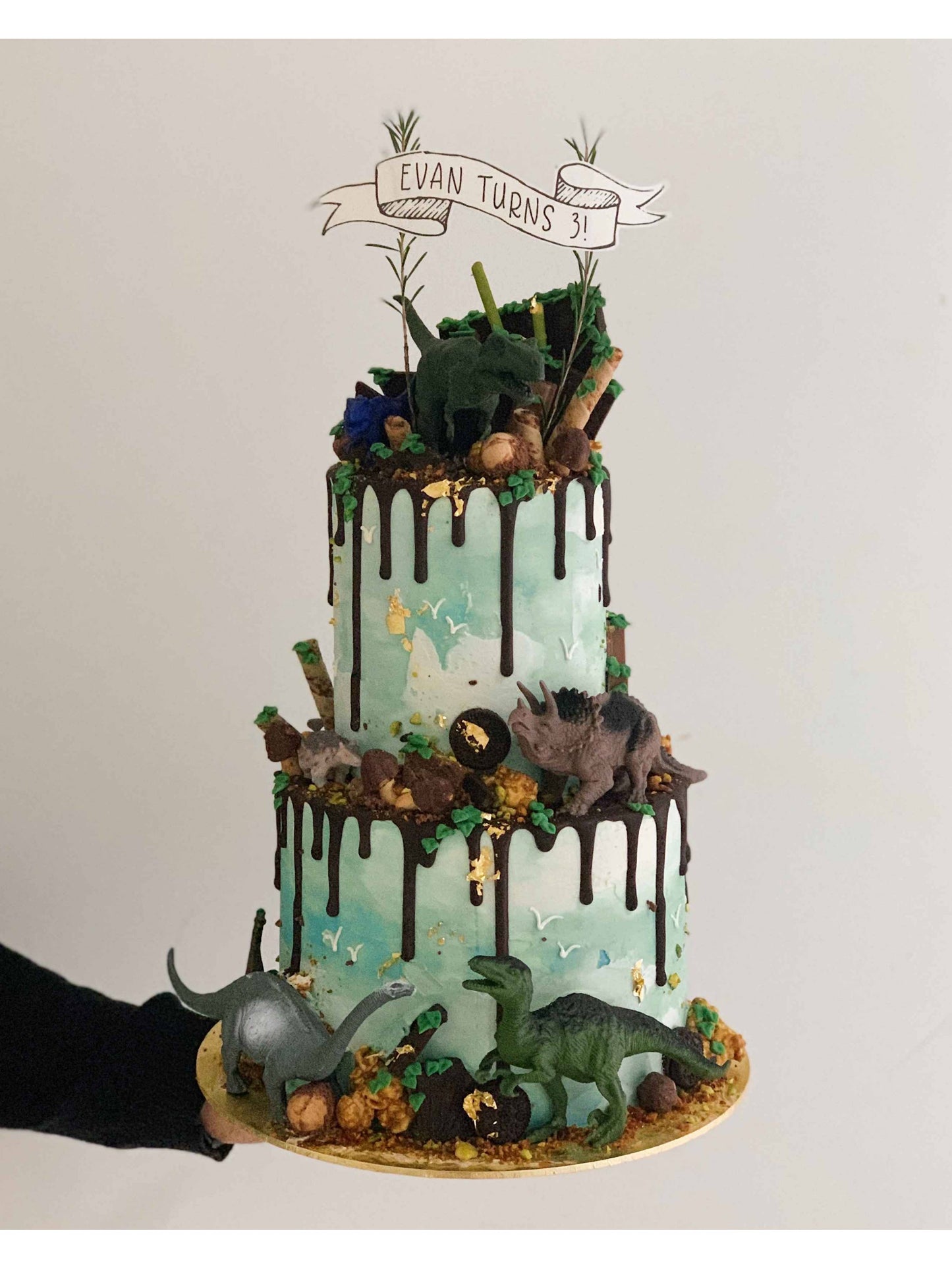 Kids Dinosaur Cake Singapore | Sarah’s Loft