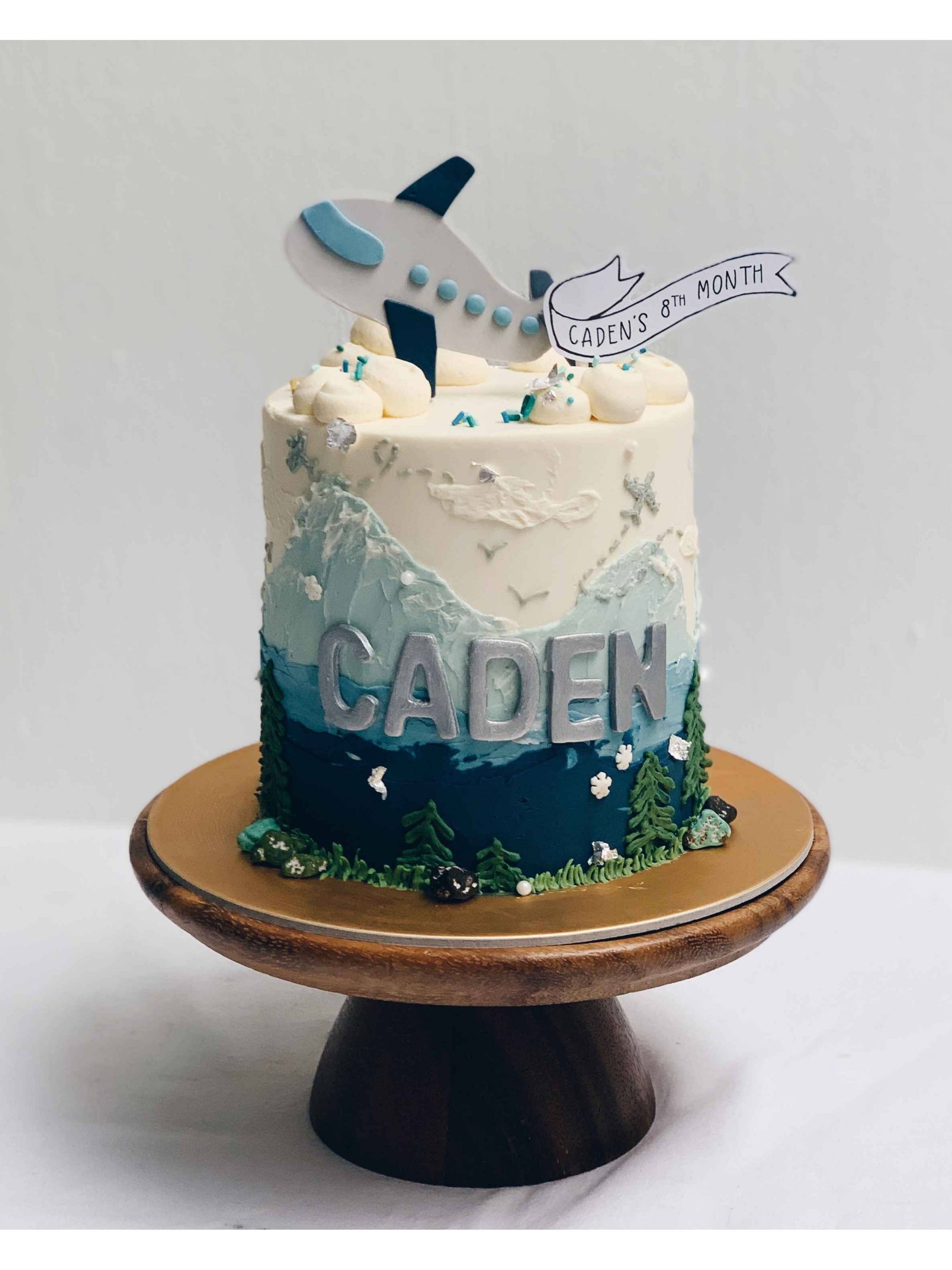 Mountain Airplane Cake Singapore | Travel Theme Cake | Sarah’s Loft