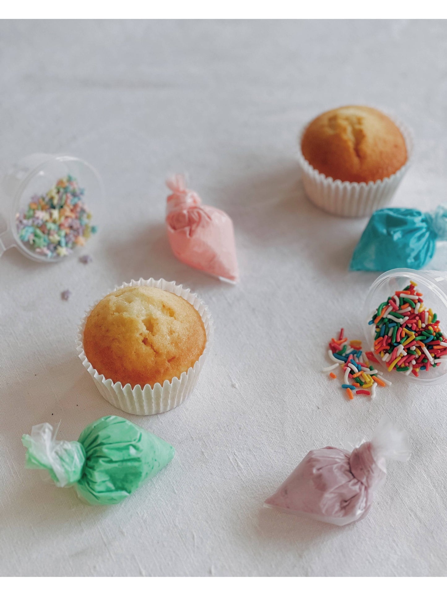 DIY Cupcake Box